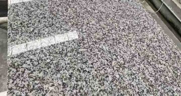 四平 芙蓉白光面