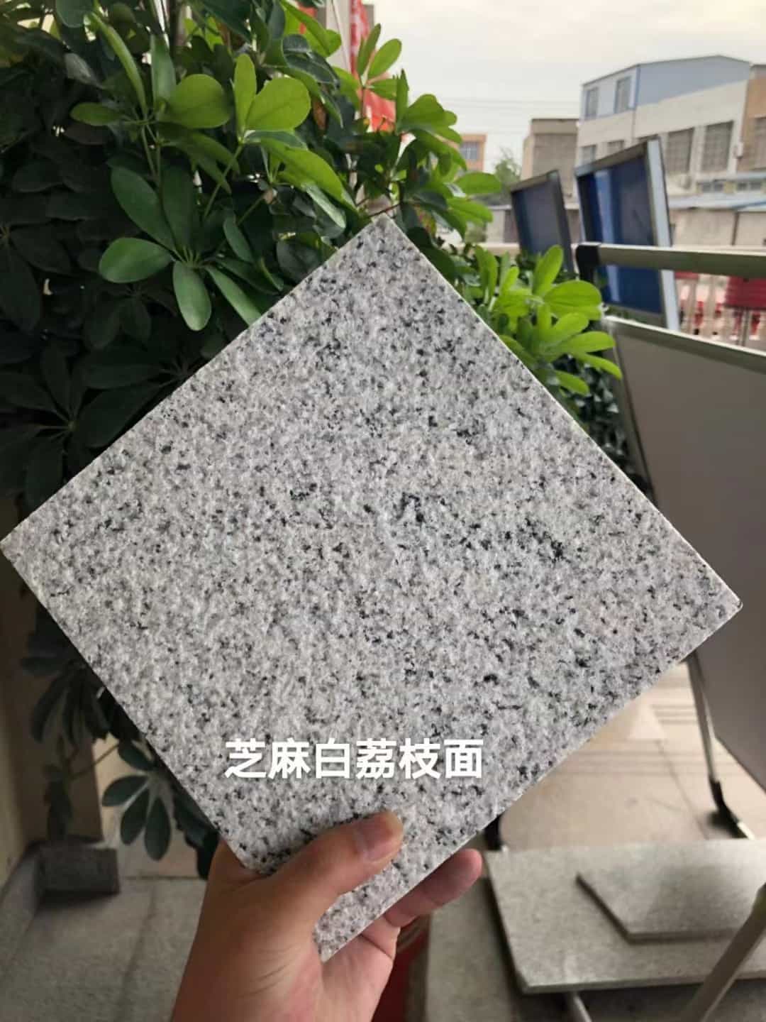 四平 芝麻白荔枝面干挂